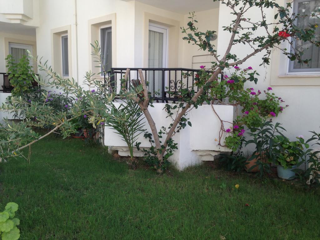 Acelya Hotel Ortakent Exterior photo